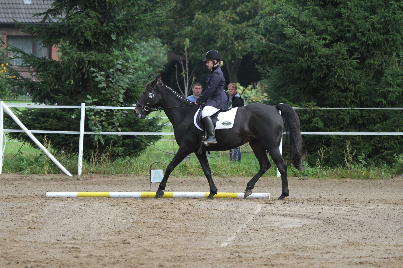 Bild 142 - WBO-Turnier am 18.9.11
